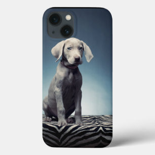 Weimaraner puppy iPhone 13 case