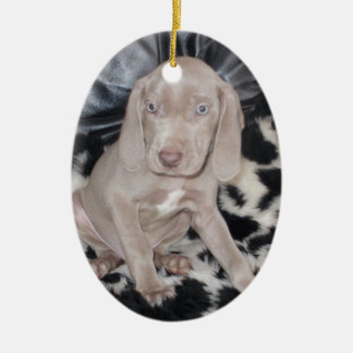 Weimaraner Puppy Ceramic Ornament