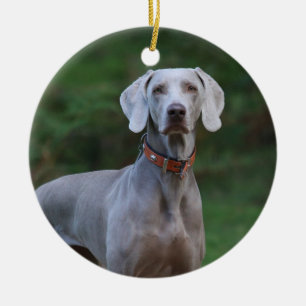 Weimaraner Puppy Dog Ceramic Ornament