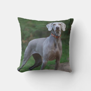 Weimaraner Puppy Dog Cushion