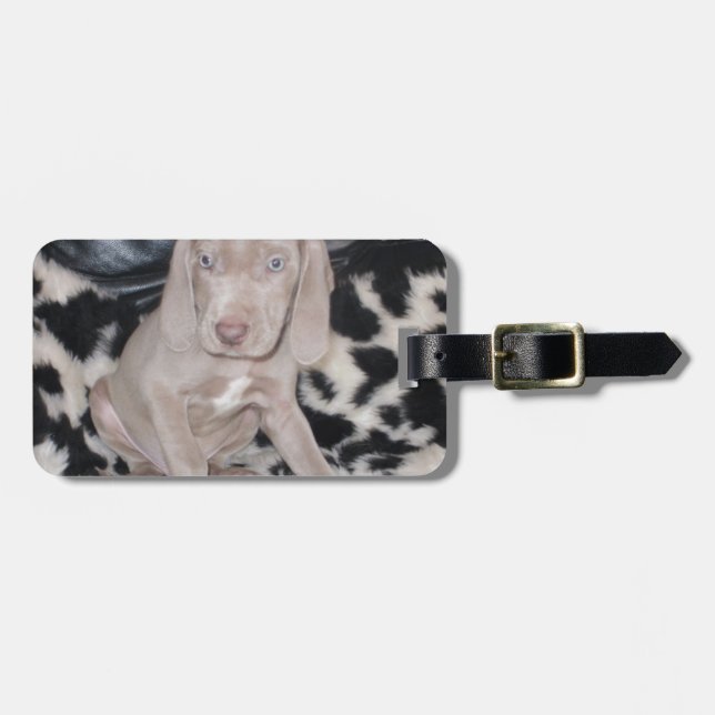 Weimaraner Puppy Luggage Tag (Front Horizontal)