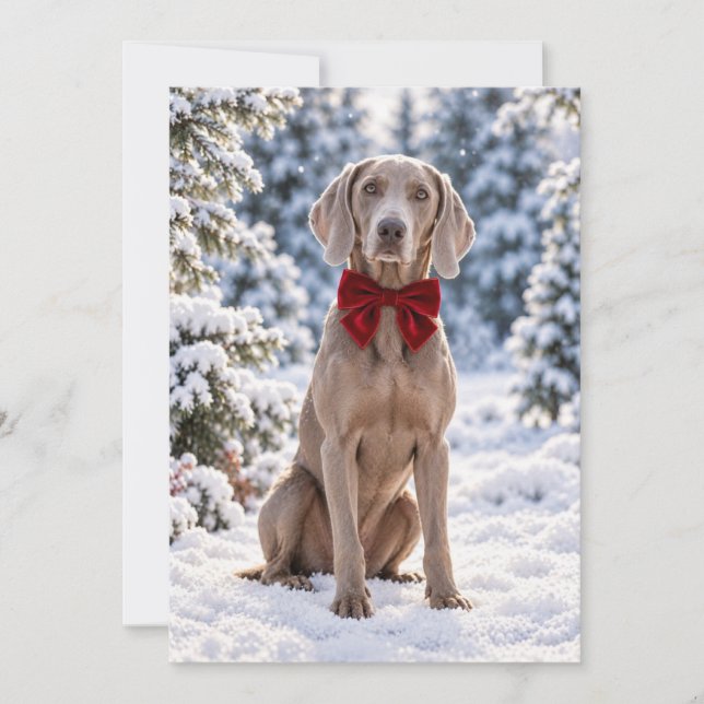 Weimaraner Red Bow Flat Holiday Card (Front)
