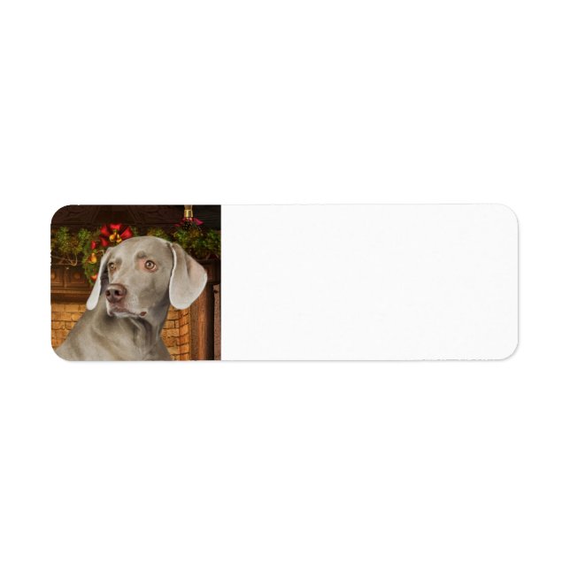 Weimaraner Return Address Label (Front)