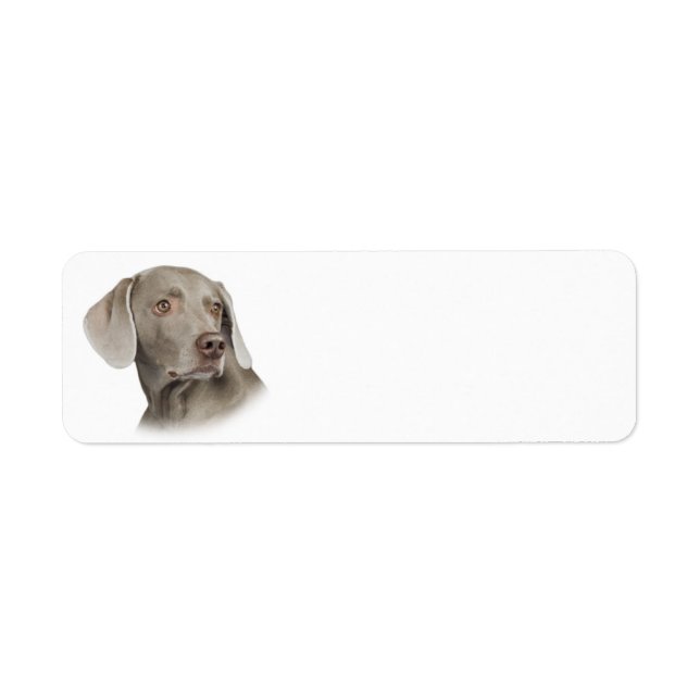 Weimaraner Return Address Label (Front)