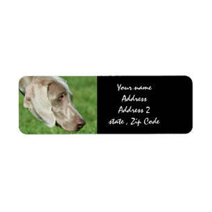 Weimaraner Return Address Label