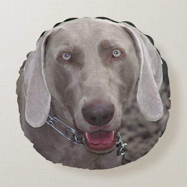 Weimaraner Round Cushion (Front)
