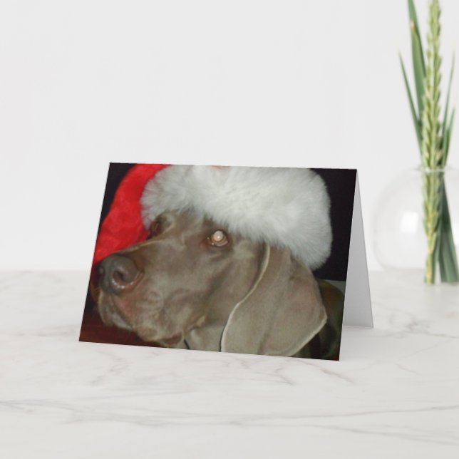 Weimaraner Santa Card (Front)