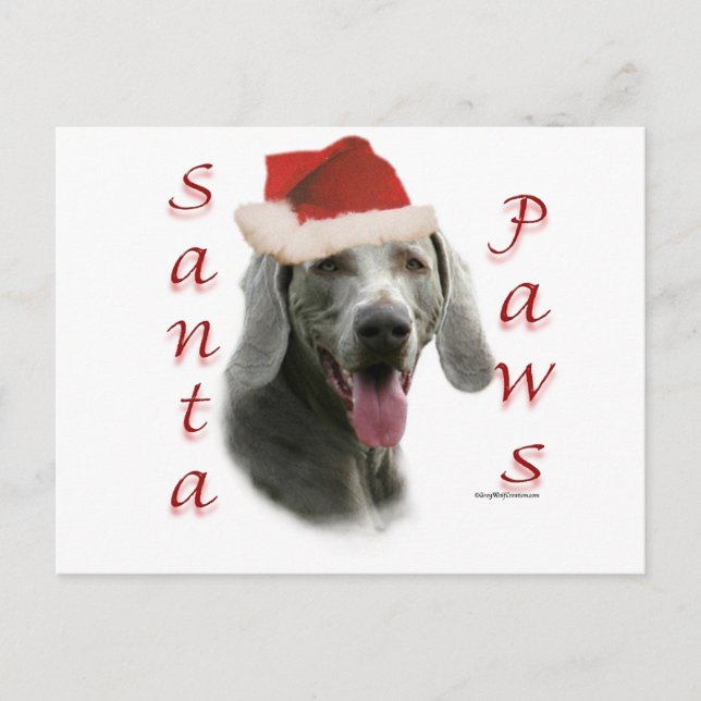 Weimaraner Santa Paws Holiday Postcard (Front)