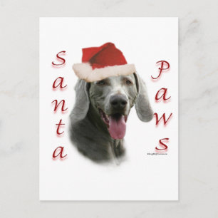 Weimaraner Santa Paws Holiday Postcard
