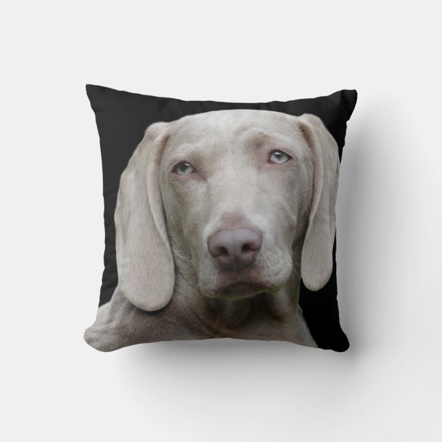 Weimaraner Silver Grey Cushion (Front)