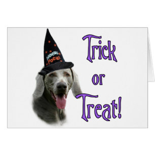 Weimaraner Trick
