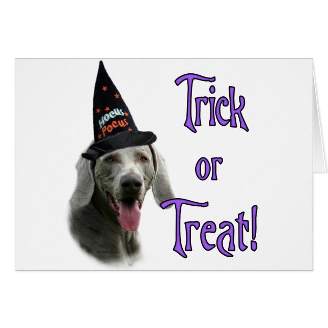 Weimaraner Trick (Front Horizontal)