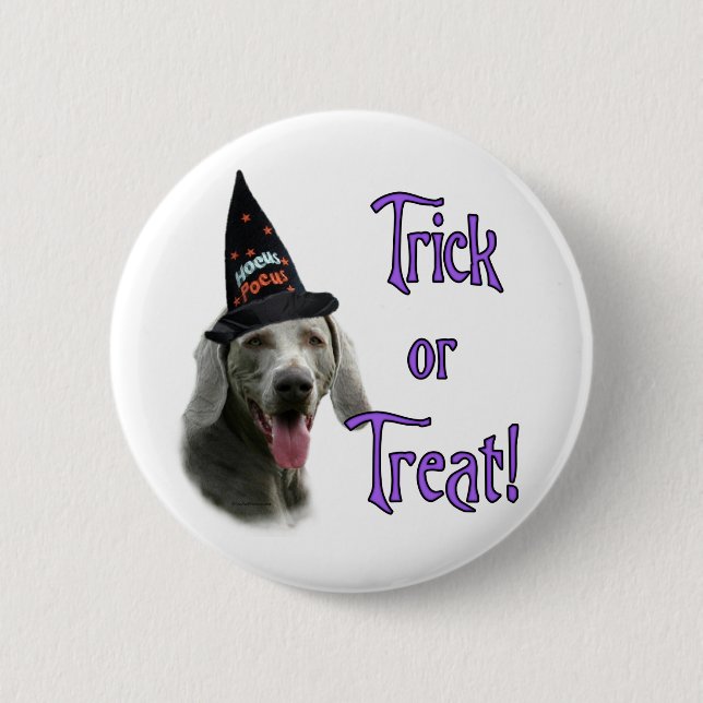Weimaraner Trick 6 Cm Round Badge (Front)