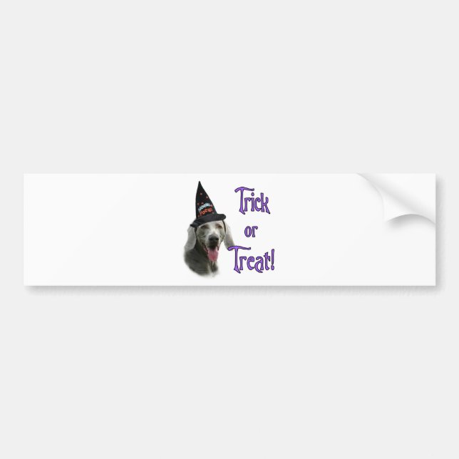 Weimaraner Trick Bumper Sticker (Front)
