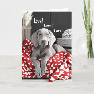 Weimaraner Valentine Card