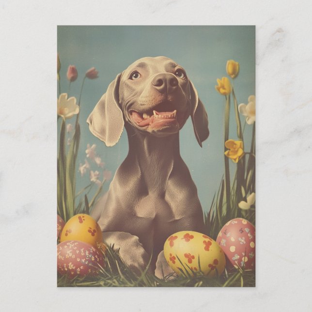 Weimaraner Vintage Easter Postcard (Front)