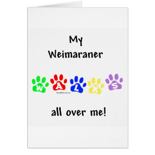 Weimaraner Walks