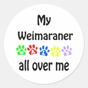 Weimaraner Walks Design Classic Round Sticker