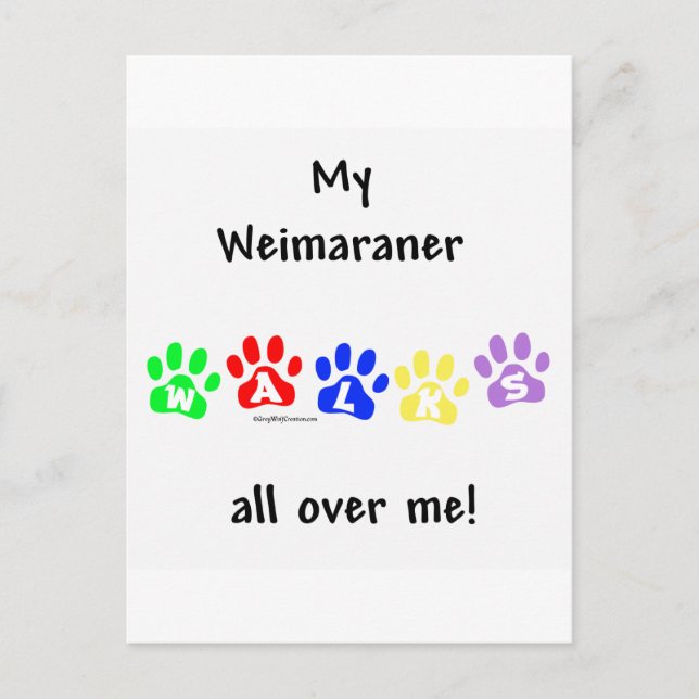 Weimaraner Walks Postcard (Front)