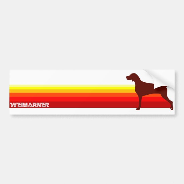 Weimaraner With Stripes Bumper Sticker (Front)