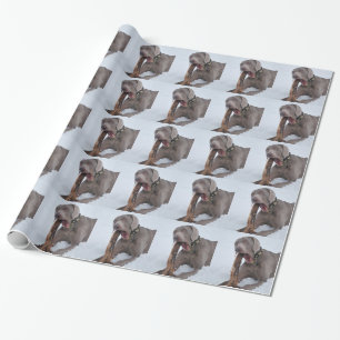 Weimaraner Wrapping Paper