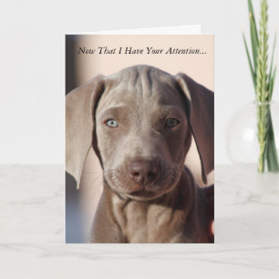 Weimaraner "You Are The Best" Greeting Card