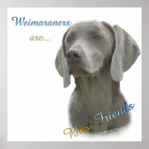 Weimaraners are Best Friends Poster