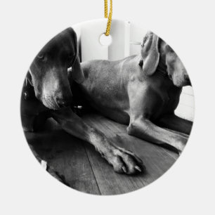 Weimaraners Ceramic Ornament