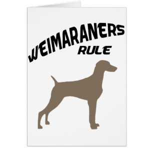 Weimaraners Rule
