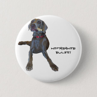 Weimaraners Rule! 6 Cm Round Badge