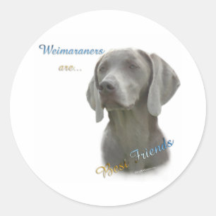 Weimeraner Best Friend 2 - Sticker