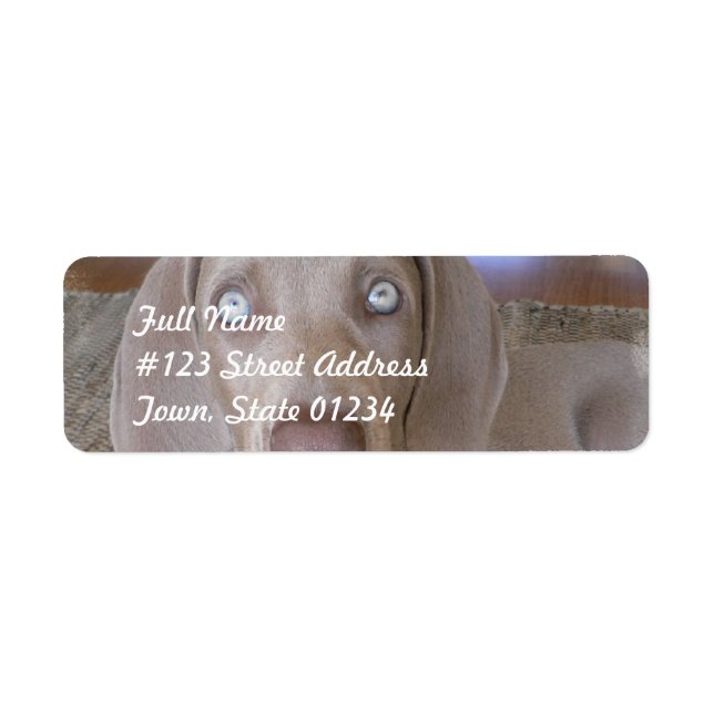 Weimeraner Dog Mailing Label Return Address Label (Front)
