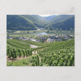 Weinberge Postcard