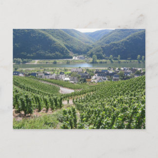 Weinberge Postcard