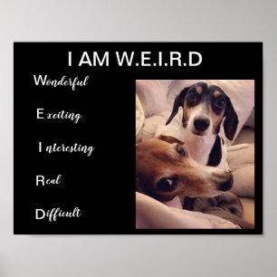 Weiner dogs poster