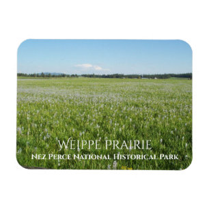 Weippe Prairie, Camas Flowers, Nez Perce Magnet