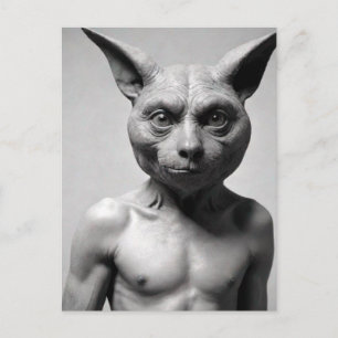 Weird Cat Guy Postcard