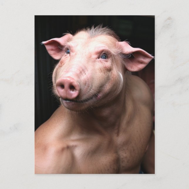 Weird Human Pig Hybrid Postcard (Front)