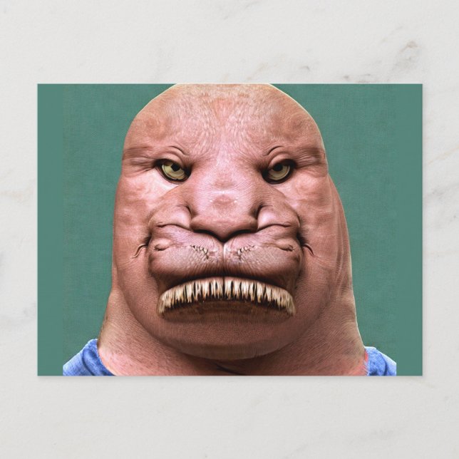 Weird Mr. Walrus Postcard (Front)