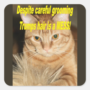Weird old Trump Square Sticker