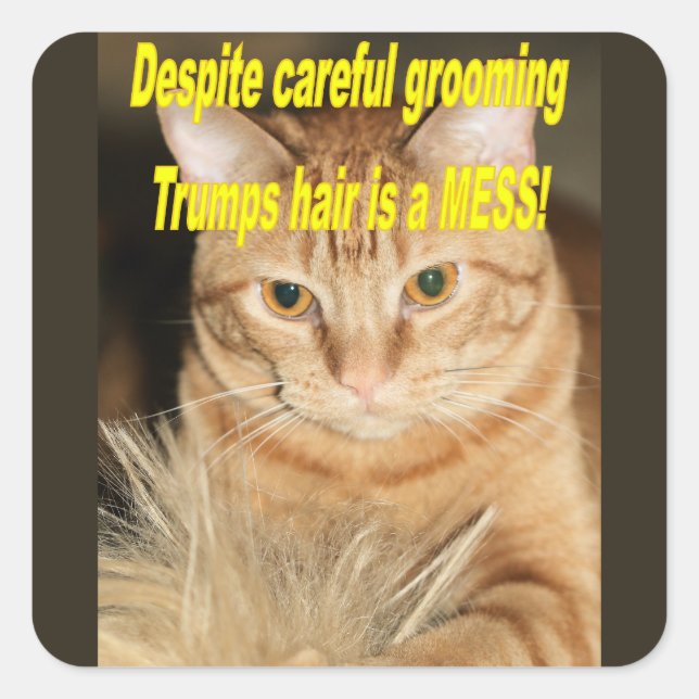 Weird old Trump Square Sticker (Front)