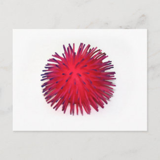 Weird Postcard