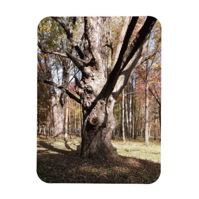 Weird Tree Magnet (Vertical)
