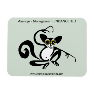 Weird wildlife - Hand drawn AYE-AYE - Magnet