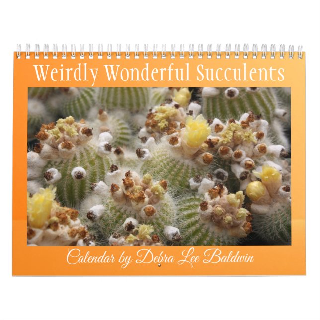 Weirdly Wonderful Succulents Calendar (Cover)