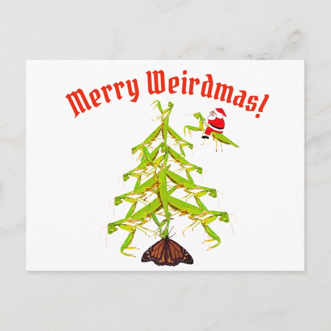 Weirdmas Praying Mantis Tree Christmas Postcard (Front)