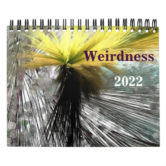 Weirdness 2022 Calendar (Cover)