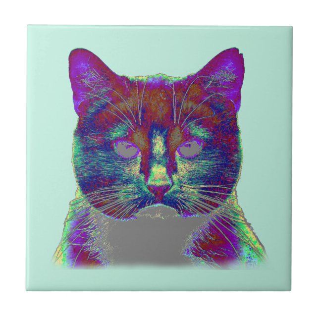 Weirdy Cat Ceramic Tile (Front)