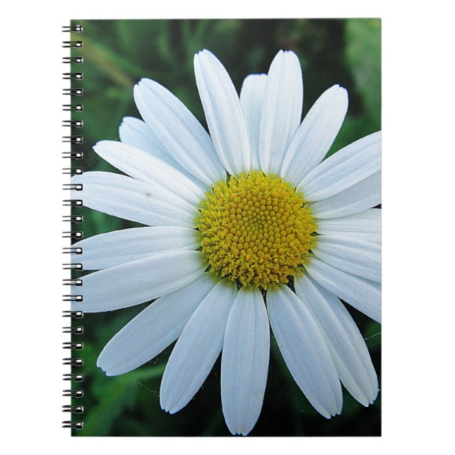 Weisse Margerite Notebook (Front)