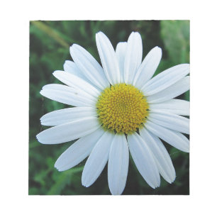 Weisse Margerite Notepad